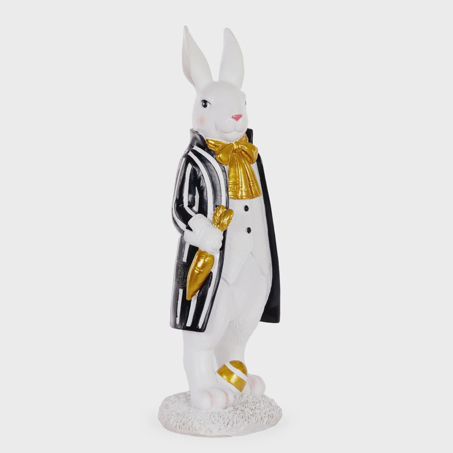 Exquisite Mr Rabbit With Carrot