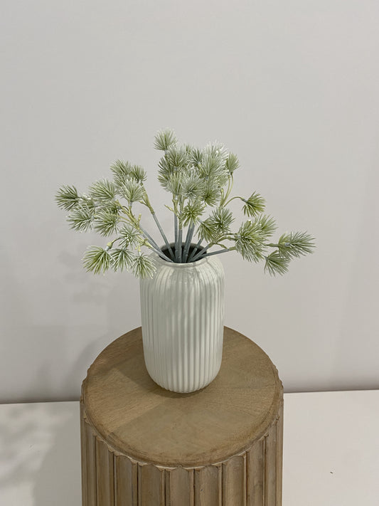 Thorn Ball Flower Bunch