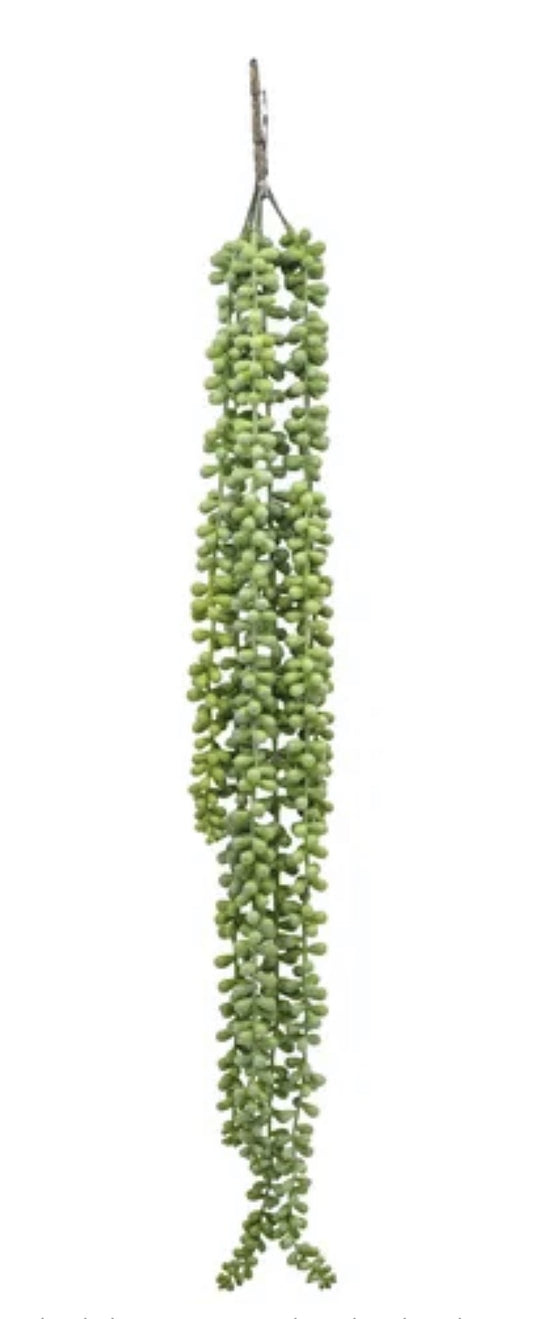 Hanging Ragworts Succulent Spray